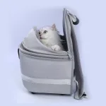 sac à dos pour chat